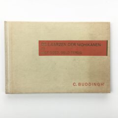 Buddingh', Demian