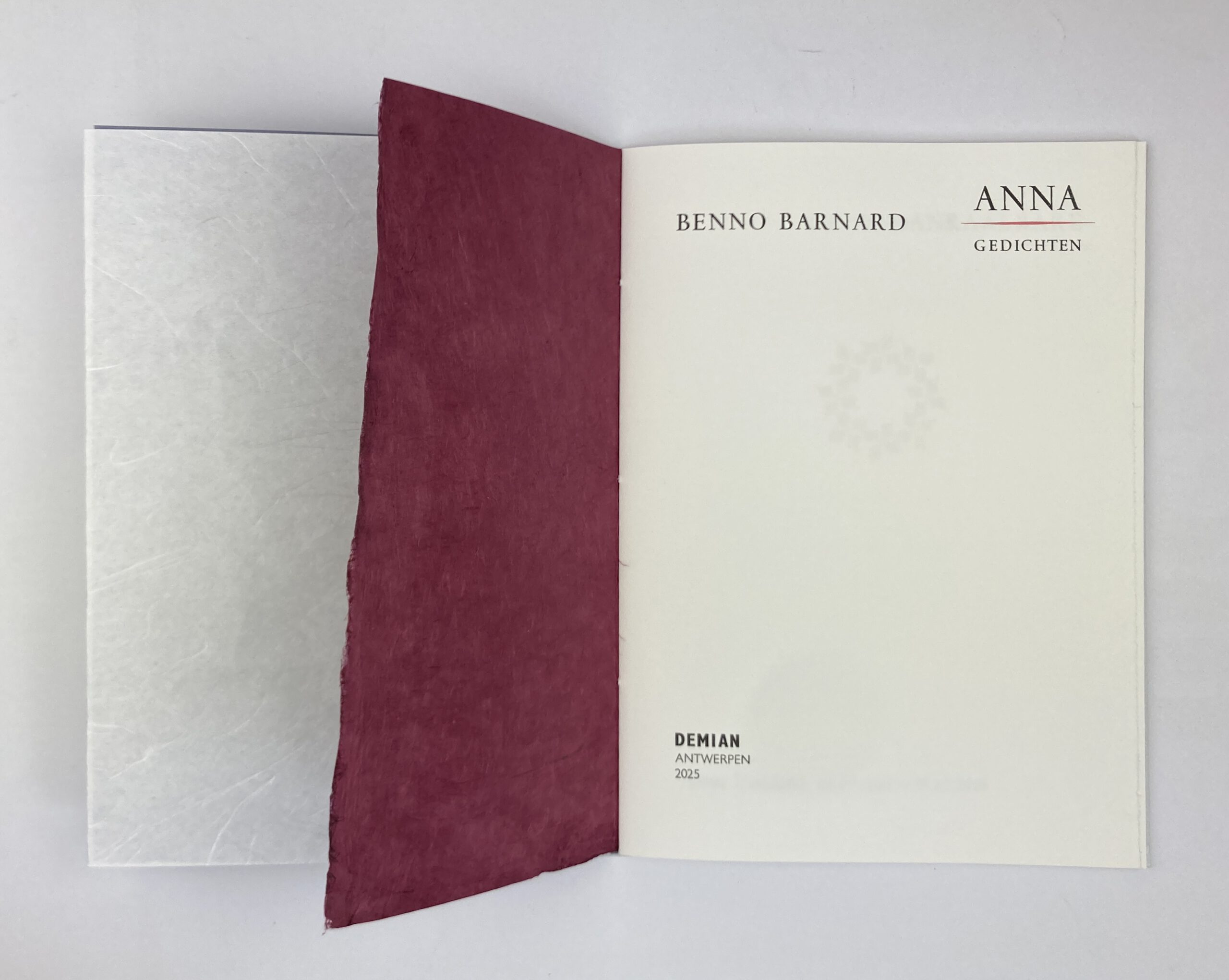 Benno Barnard, Anna / De onaanraakbare, Demian
