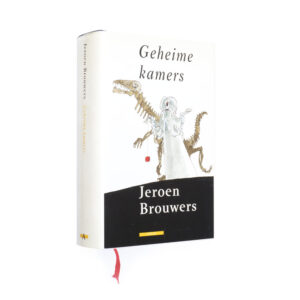 Jeroen Brouwers. Geheime kamers.