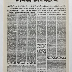Mirtha Dermisache, Diario no. 1, Guy Schraenen, Demian